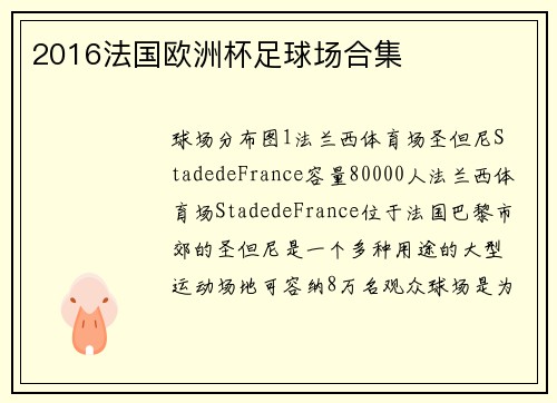 2016法国欧洲杯足球场合集